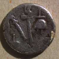 caesar_01 rev.