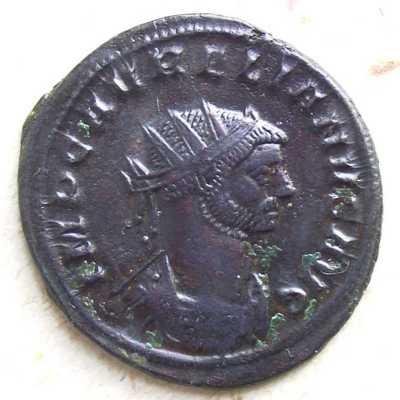 aurelianus_01.jpg